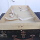 Vintage trunk suitcase