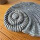 Shell-shaped ceramic catchall.