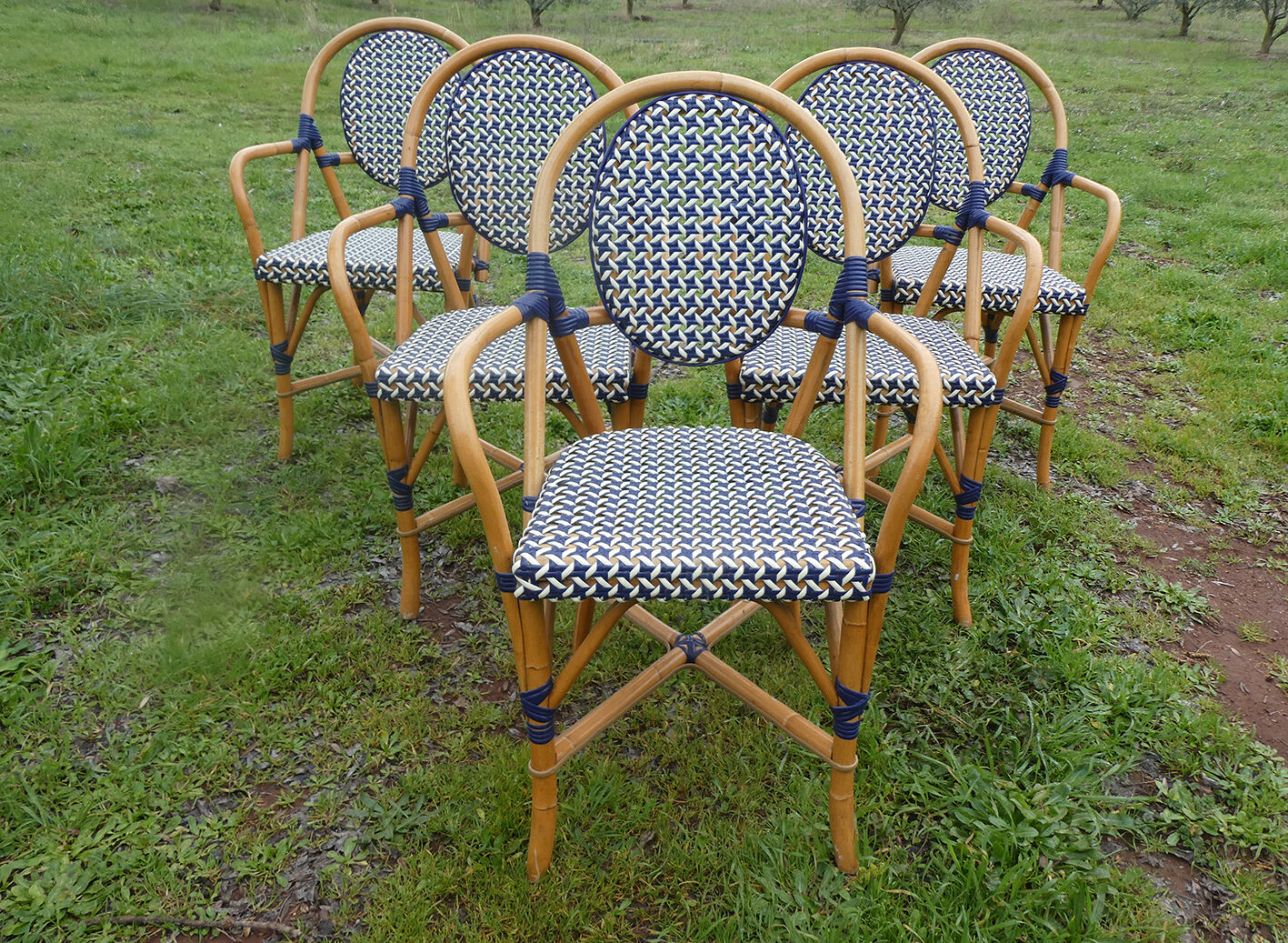 Lot de 5 fauteuils bistrot de terrasse type "parisienne" blanc et bleu