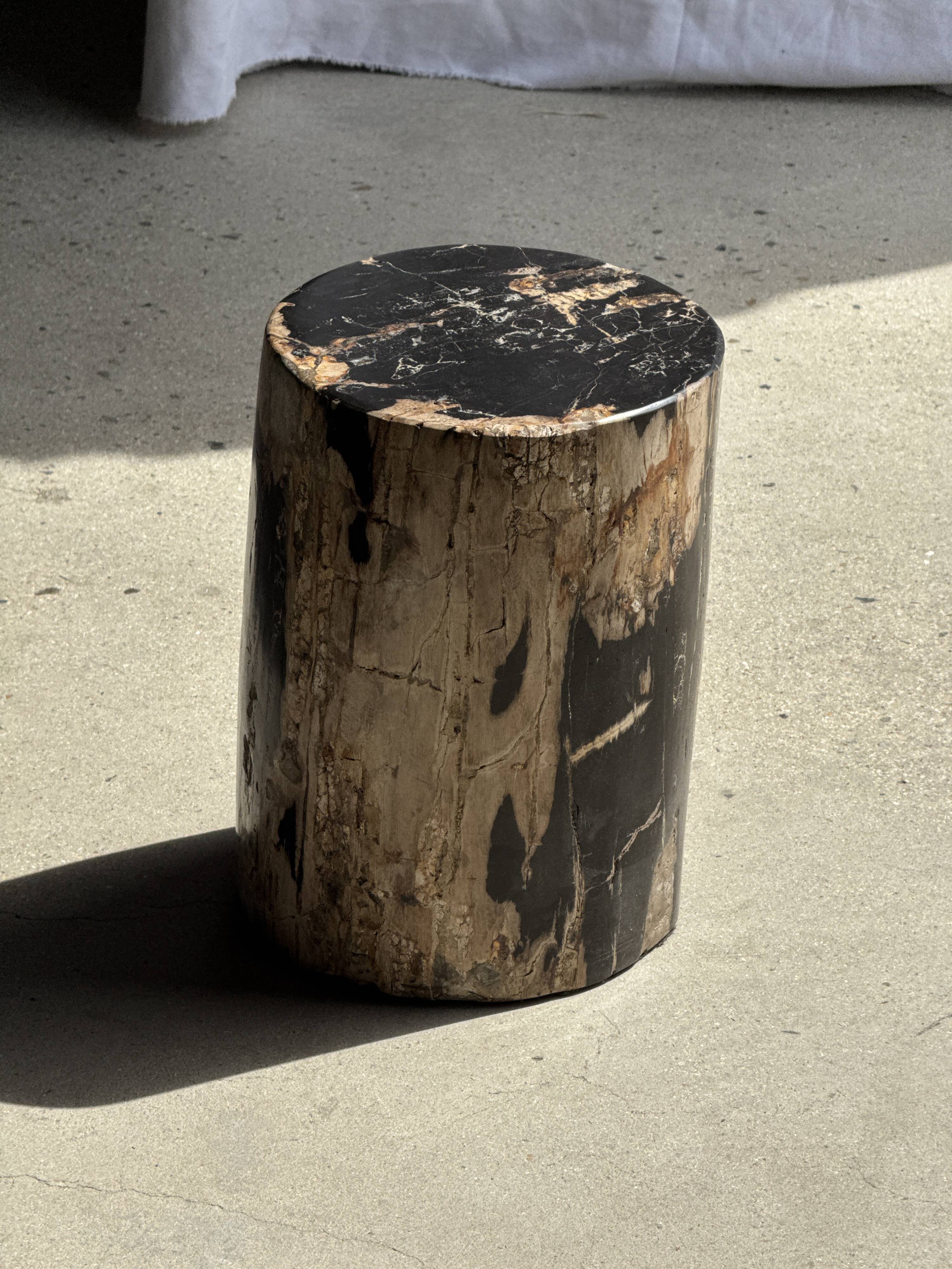 Black petrified wood side table with beige side H35 D24 - 3352