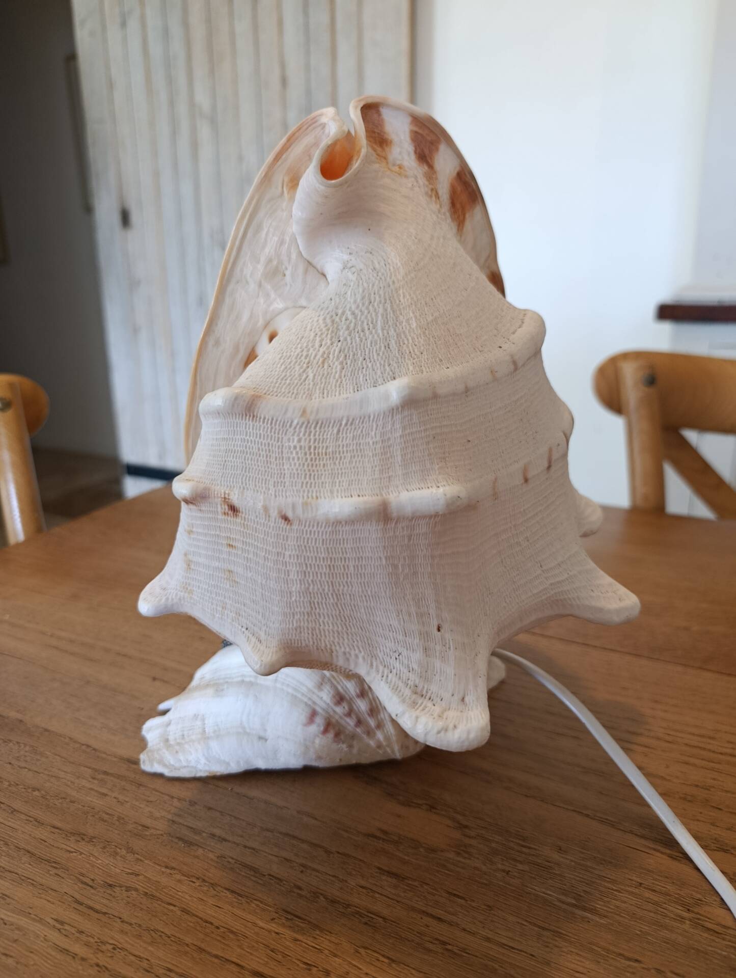 Lampe coquillage vintage