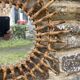 mirror glass sun Mid-Century in Bamboo & Rush, Vintage -