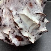 Vase pichet en céramique écume de mer, Vallauris, attribué à JAK