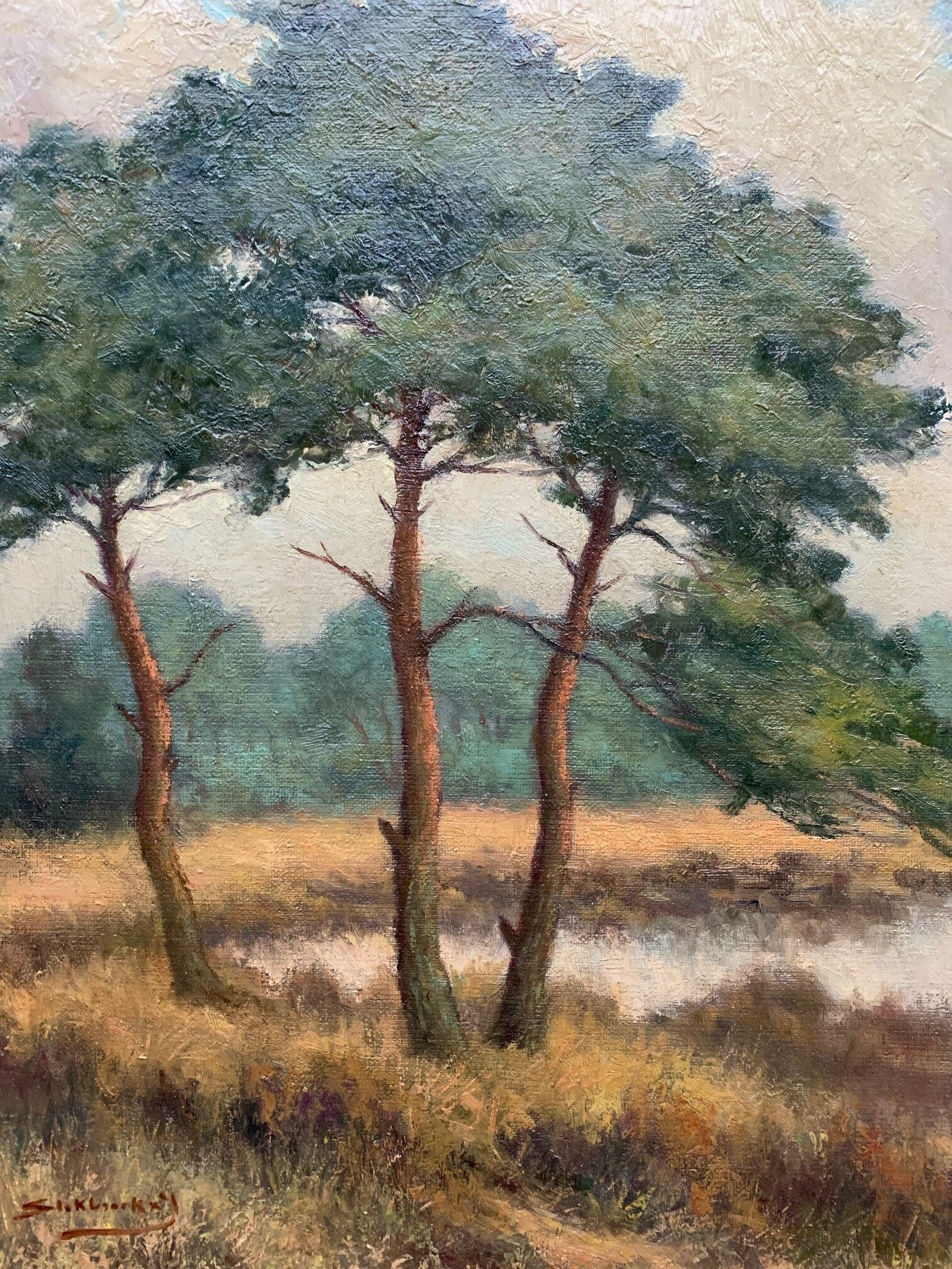 Table "The forest landscape".