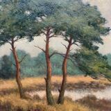 Table "The forest landscape".