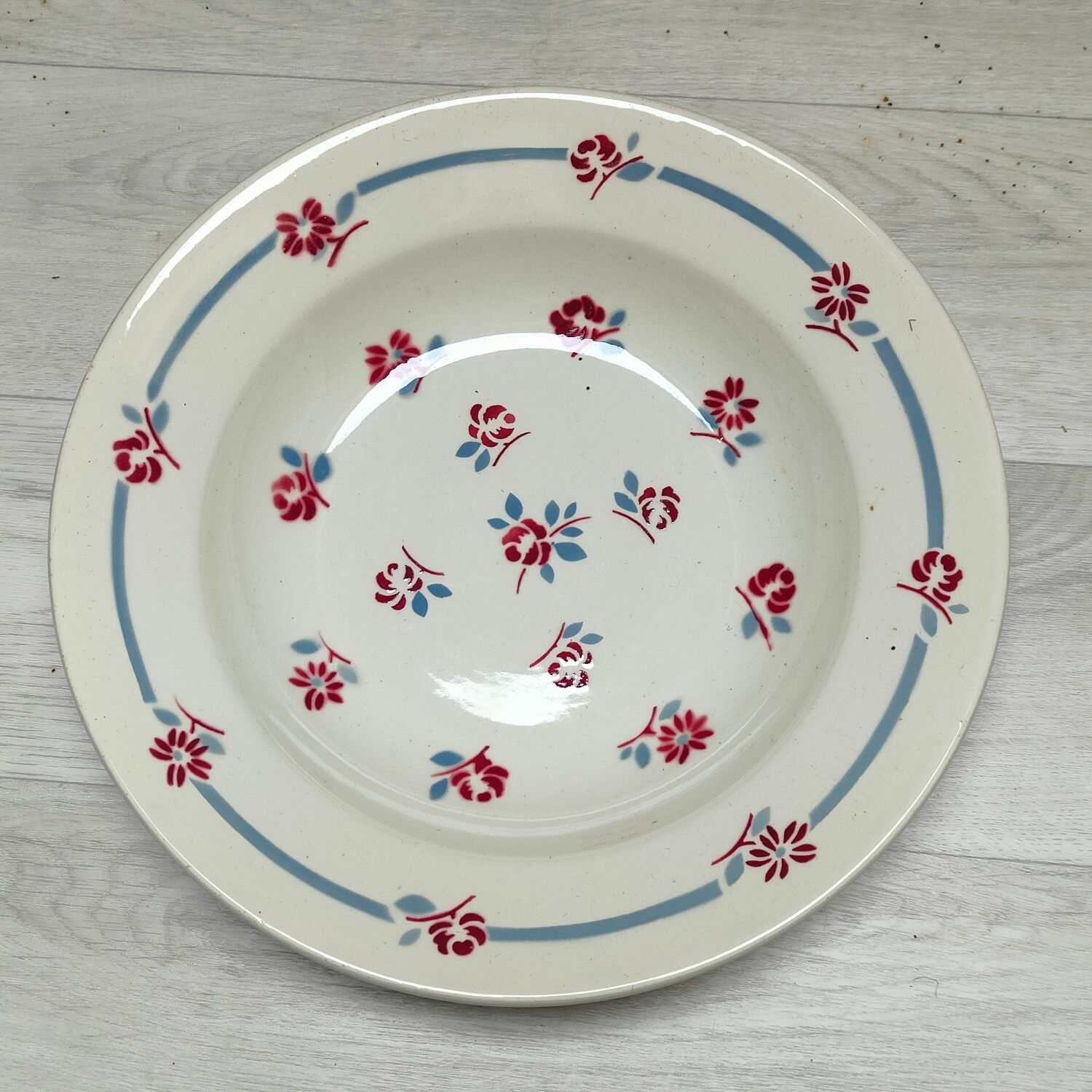 Set of 6 hollow plates terra de fer Sarreguemines