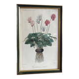 Vintage botanical illustration