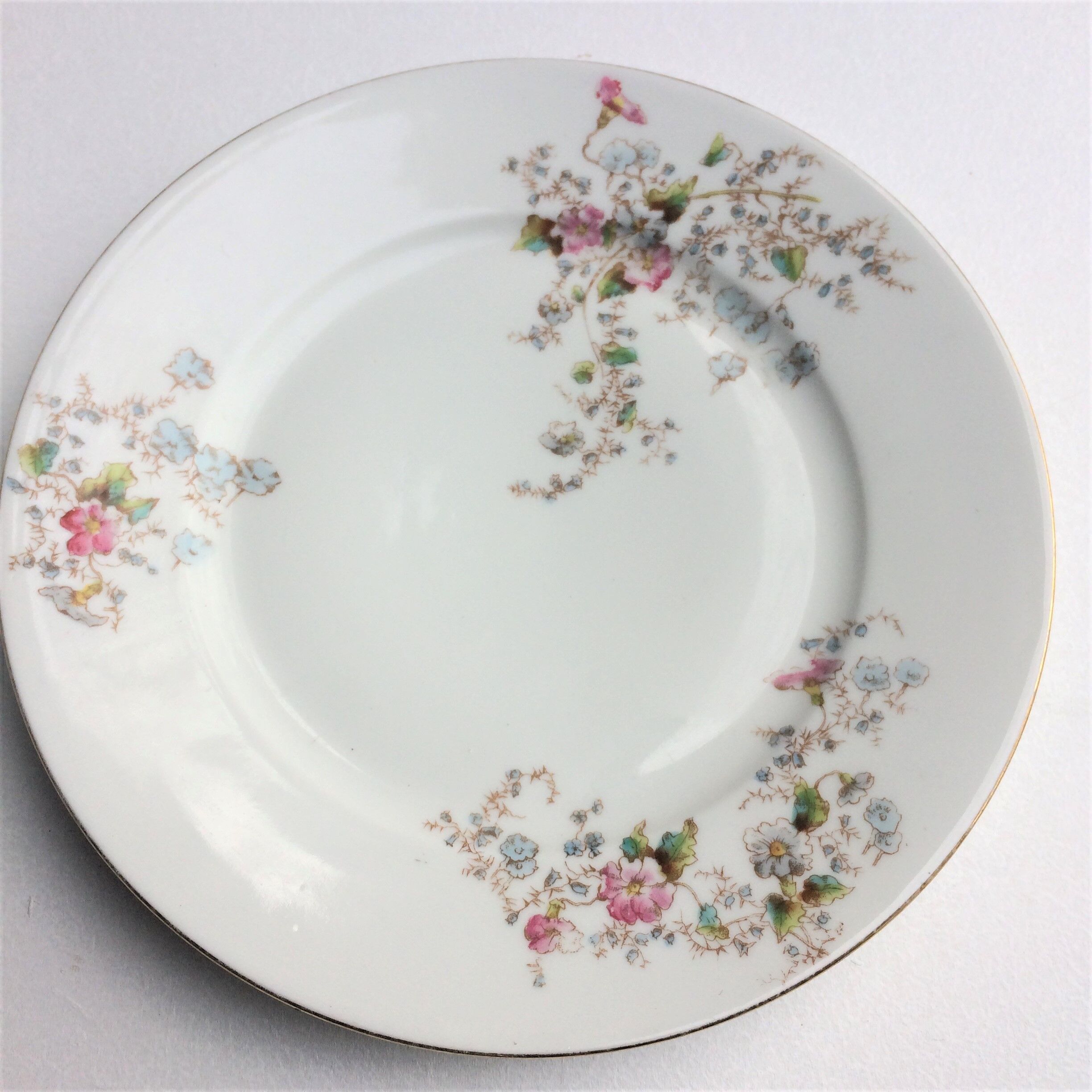 Porcelain plates from Limoges
