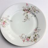 Porcelain plates from Limoges