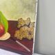 Still life fruits
