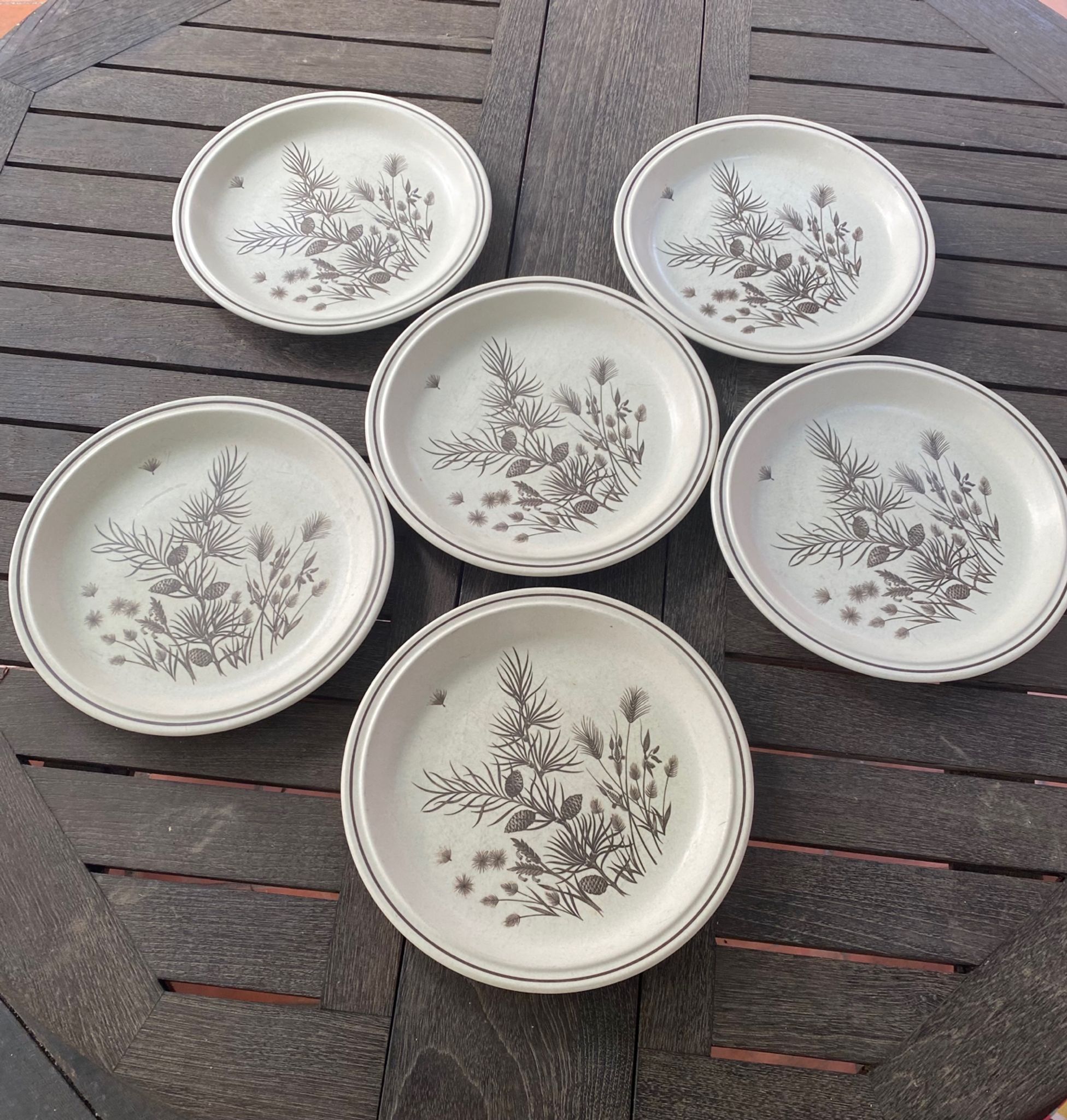 6 assiettes plates Pinewood vintage