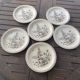 6 vintage Pinewood dinner plates