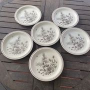 6 assiettes plates Pinewood vintage