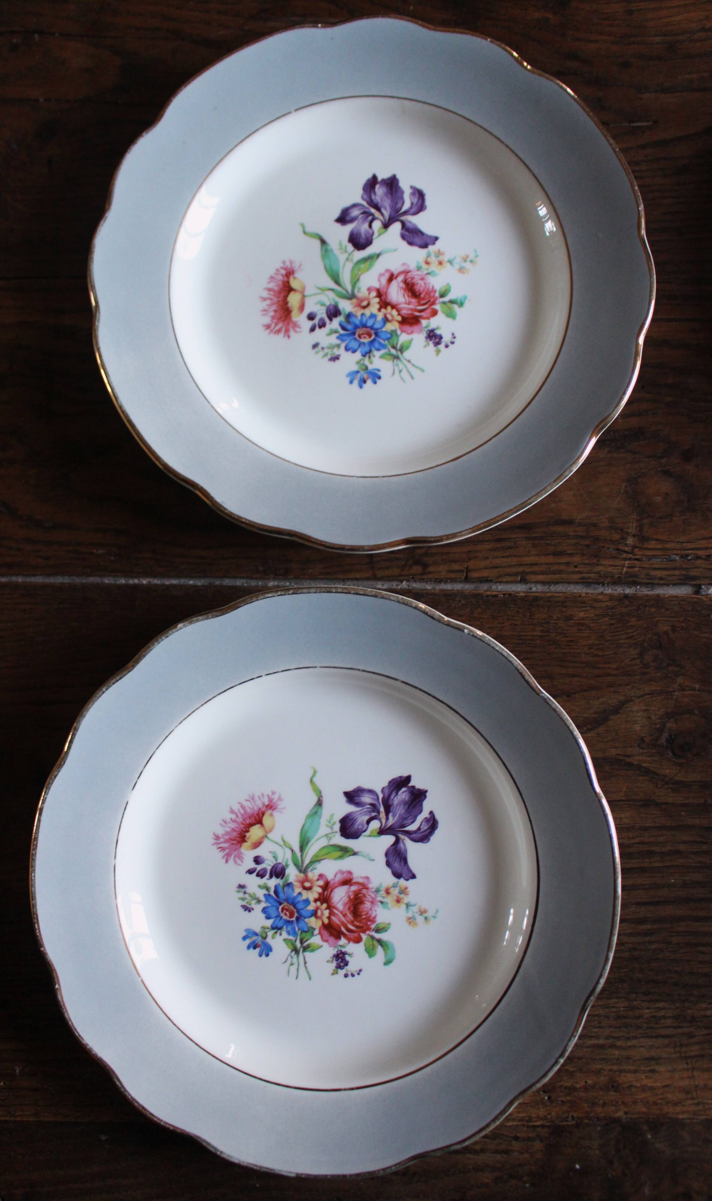 6 mismatched flat plates pairs Terre de Fer Marsac Flowers Digoin
