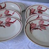 Lot 8 flat plates gien tulip model