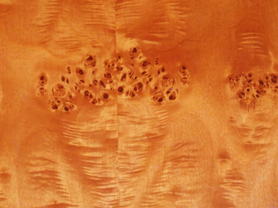 Table basse loupe d'orme  1970