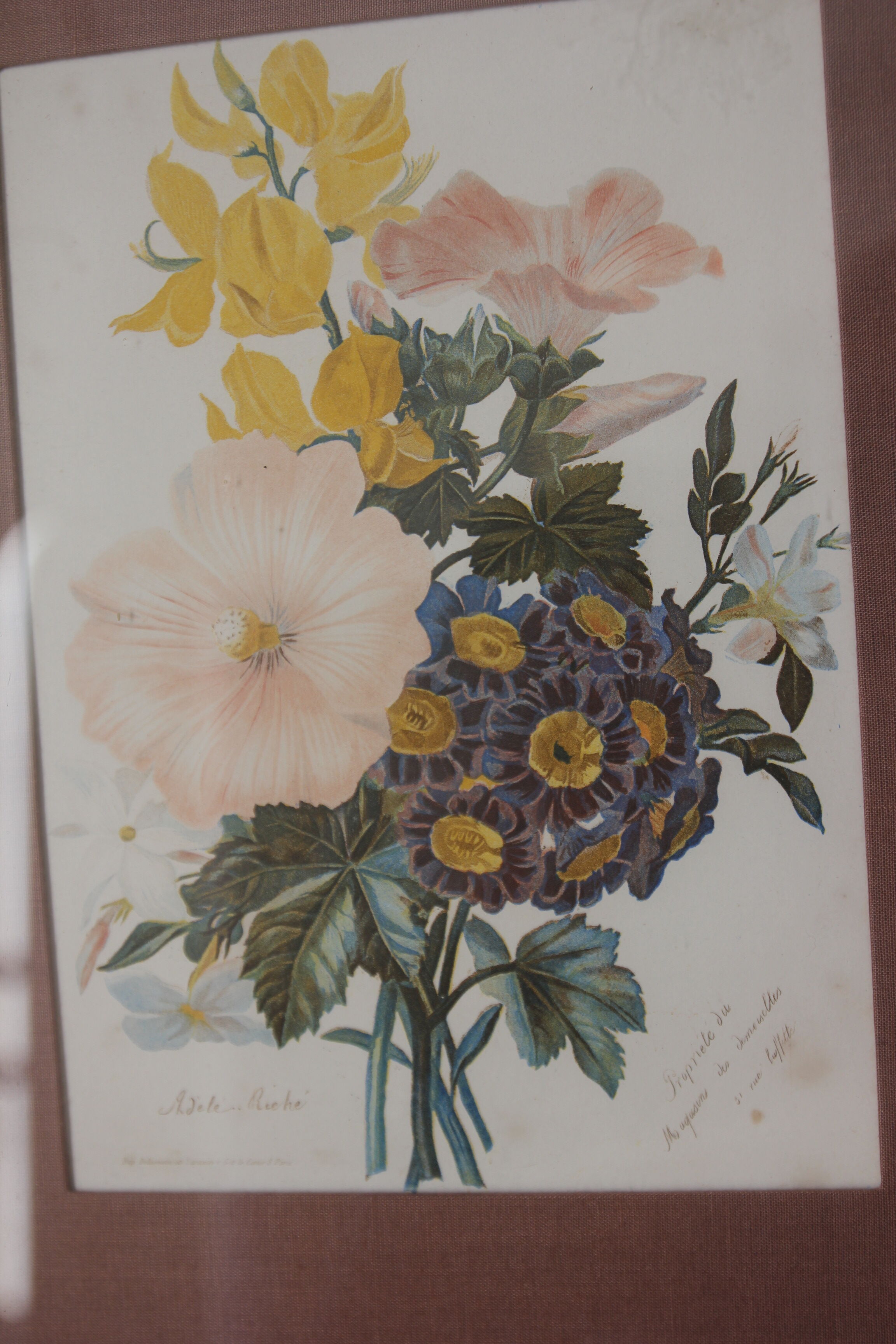 Engraving of flowers