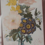 Engraving of flowers