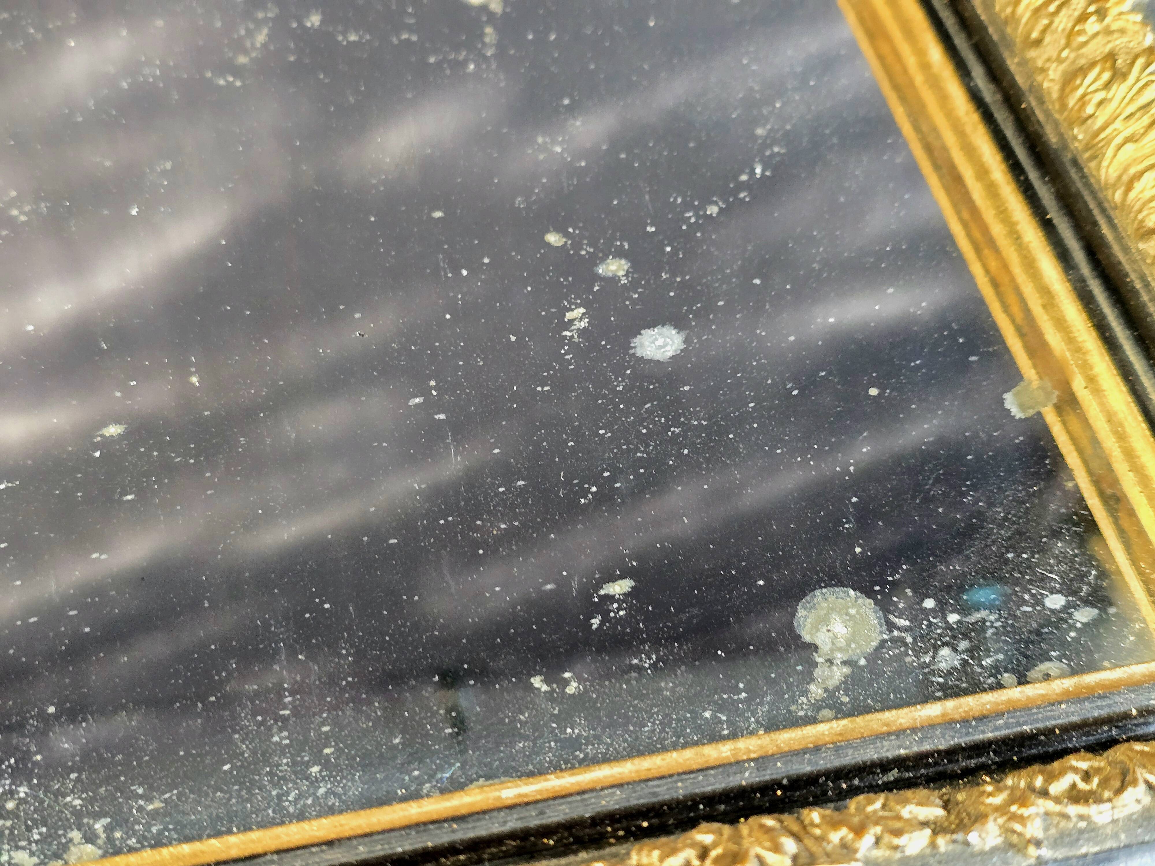 Napoleon III mirror in blackened wood and gilded decoration, second half of the 19th century.