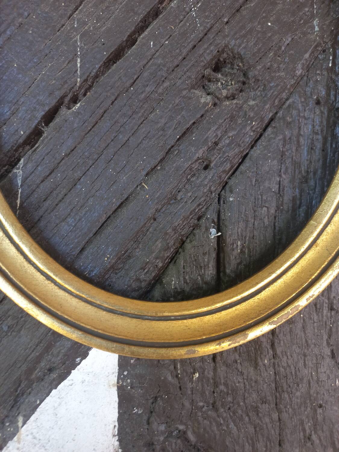 Oval golden medallion frame