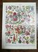 Lithograph on flowers from 1928 "rose bushes"