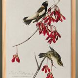 Poster about the Gobball, based on an old engraving from 1827.