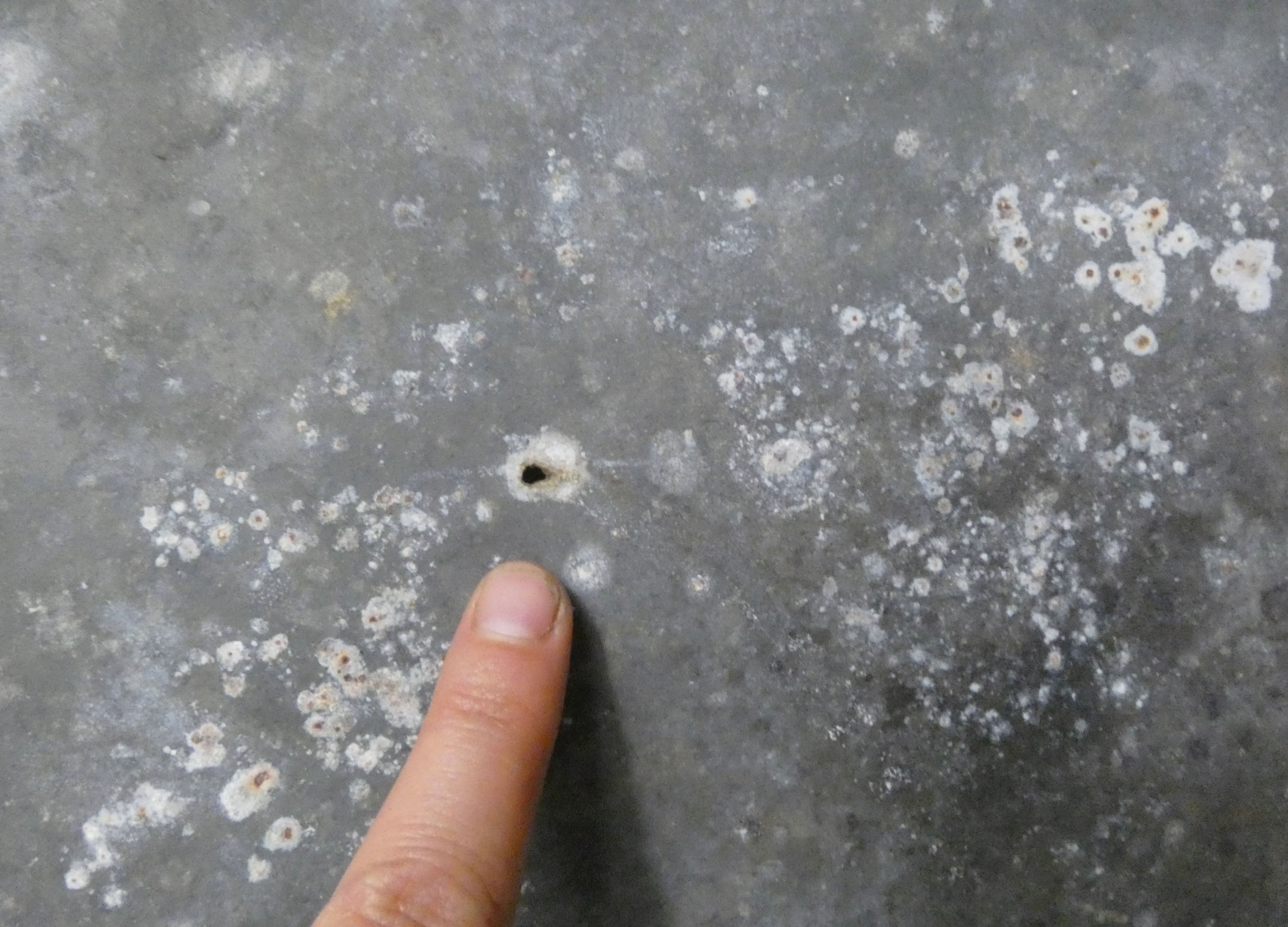 Old basin bath galvanized zinc oval