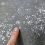 Old basin bath galvanized zinc oval