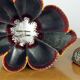 Rare Mid Century Snow White And Seven Dwarfs Children’s Table Lamp, 1950s
