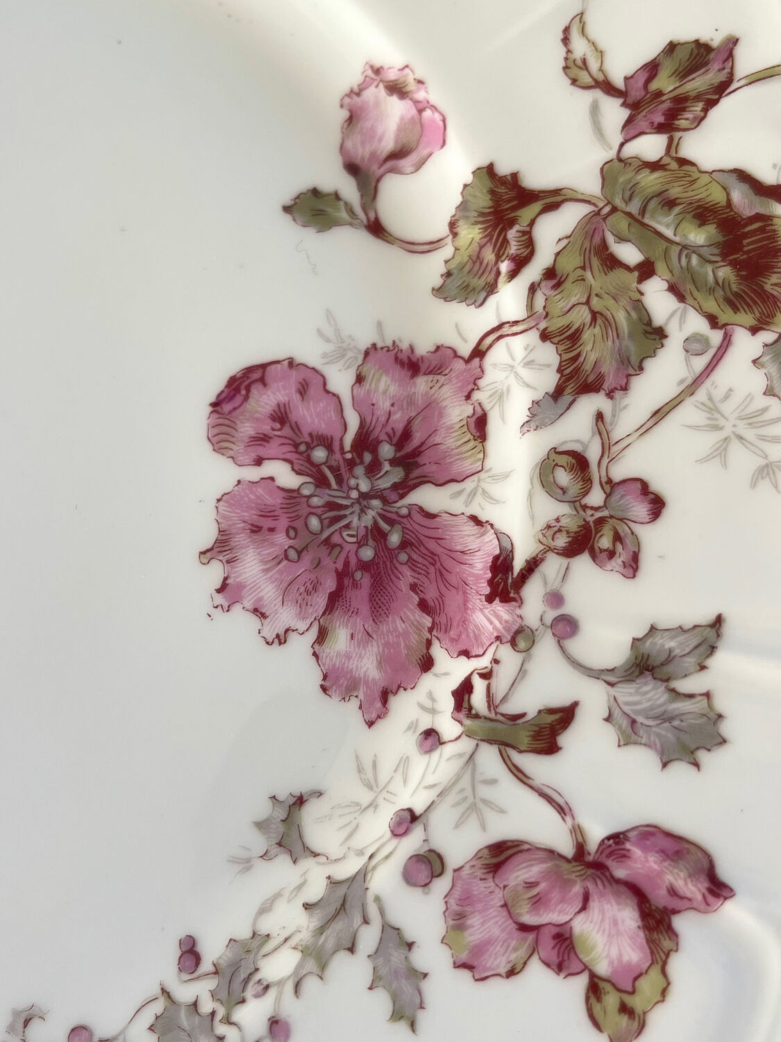 8 Haviland Limoges plates from the 19th century.