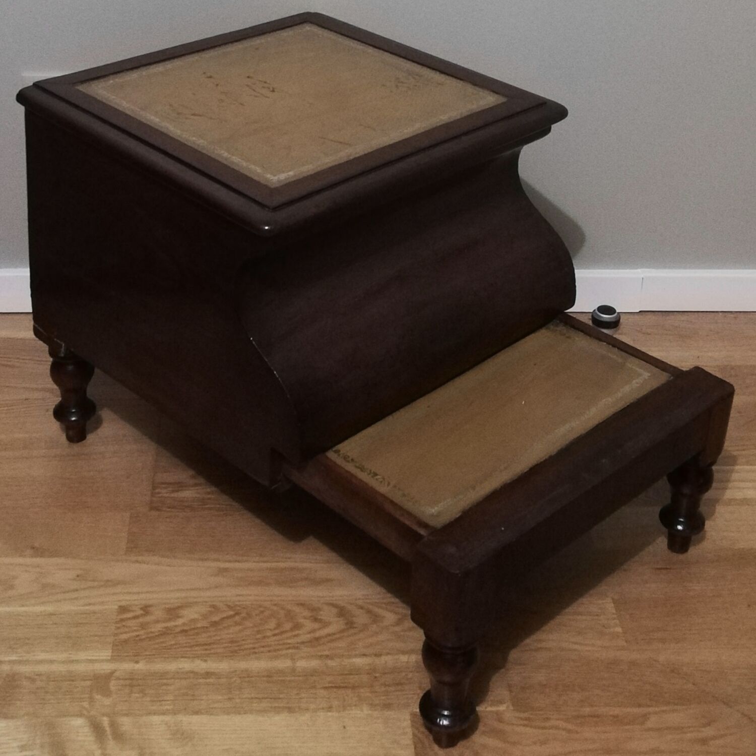 Old mahogany bookcase
