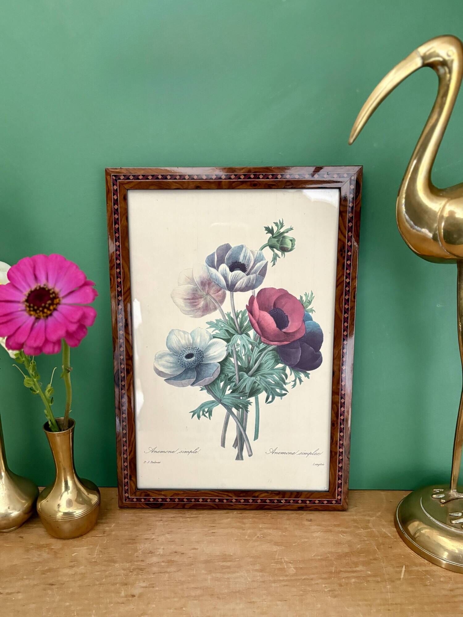 Vintage frame drawing of anemones by Redouté.