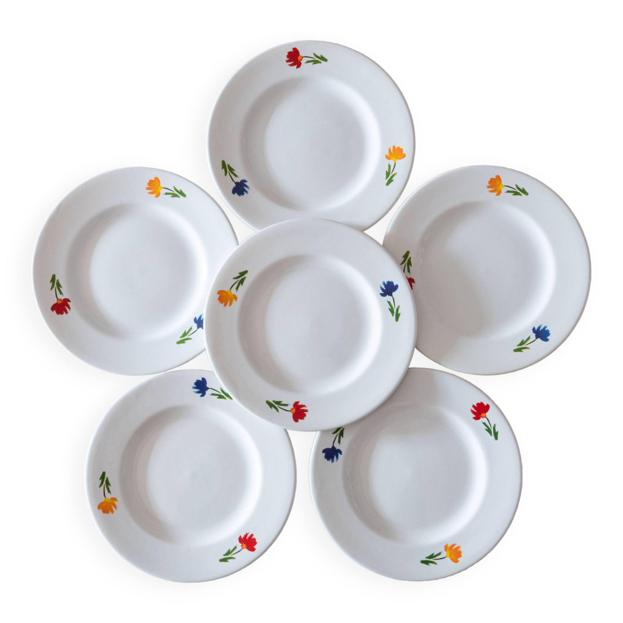 6 vintage tricolor flower plates