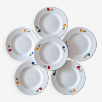 6 vintage tricolor flower plates