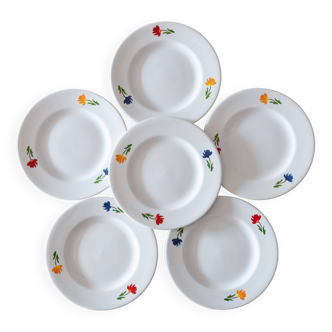 6 vintage tricolor flower plates