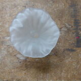 Former corolla, frosted glass vase