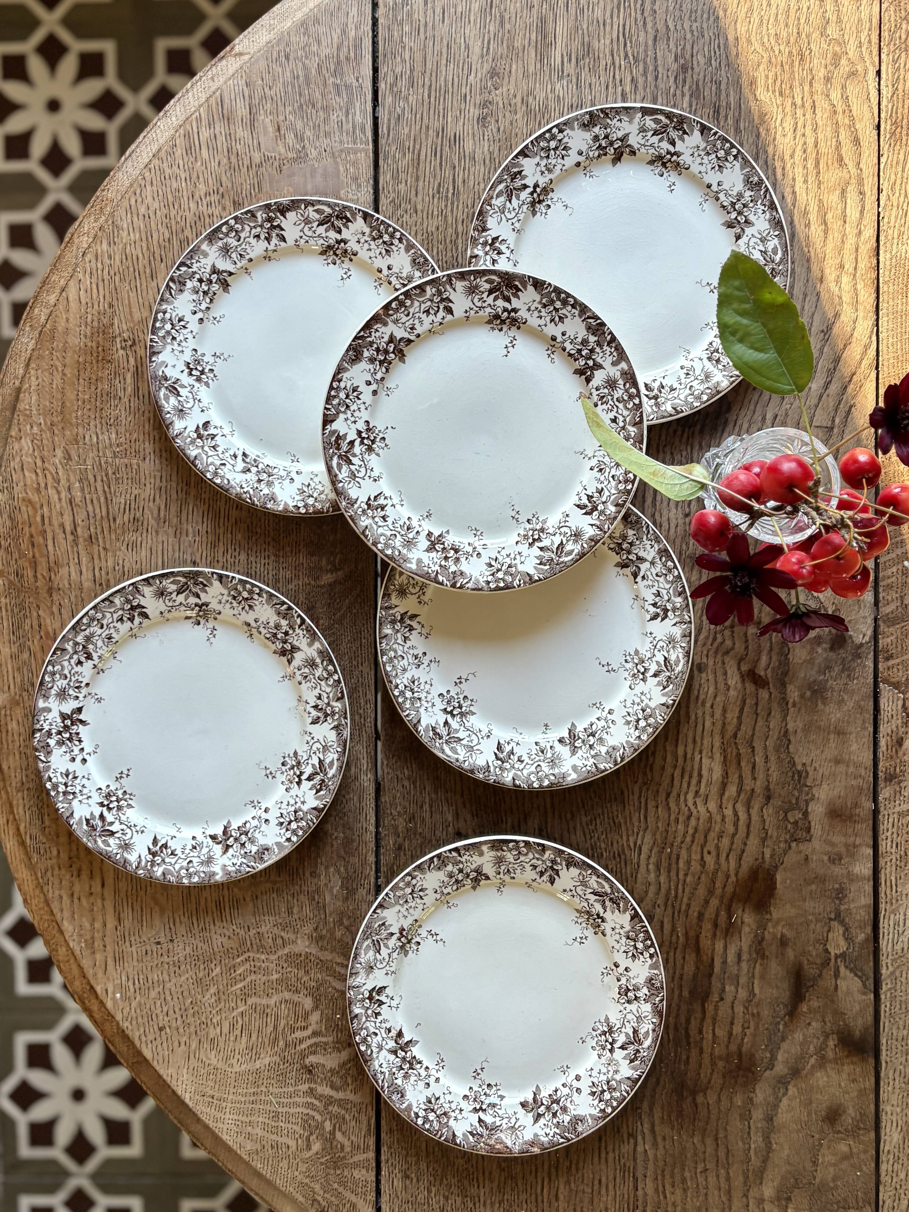 Lot de 6 assiettes à dessert anciennes en terre de fer modèle Alphand de Sa