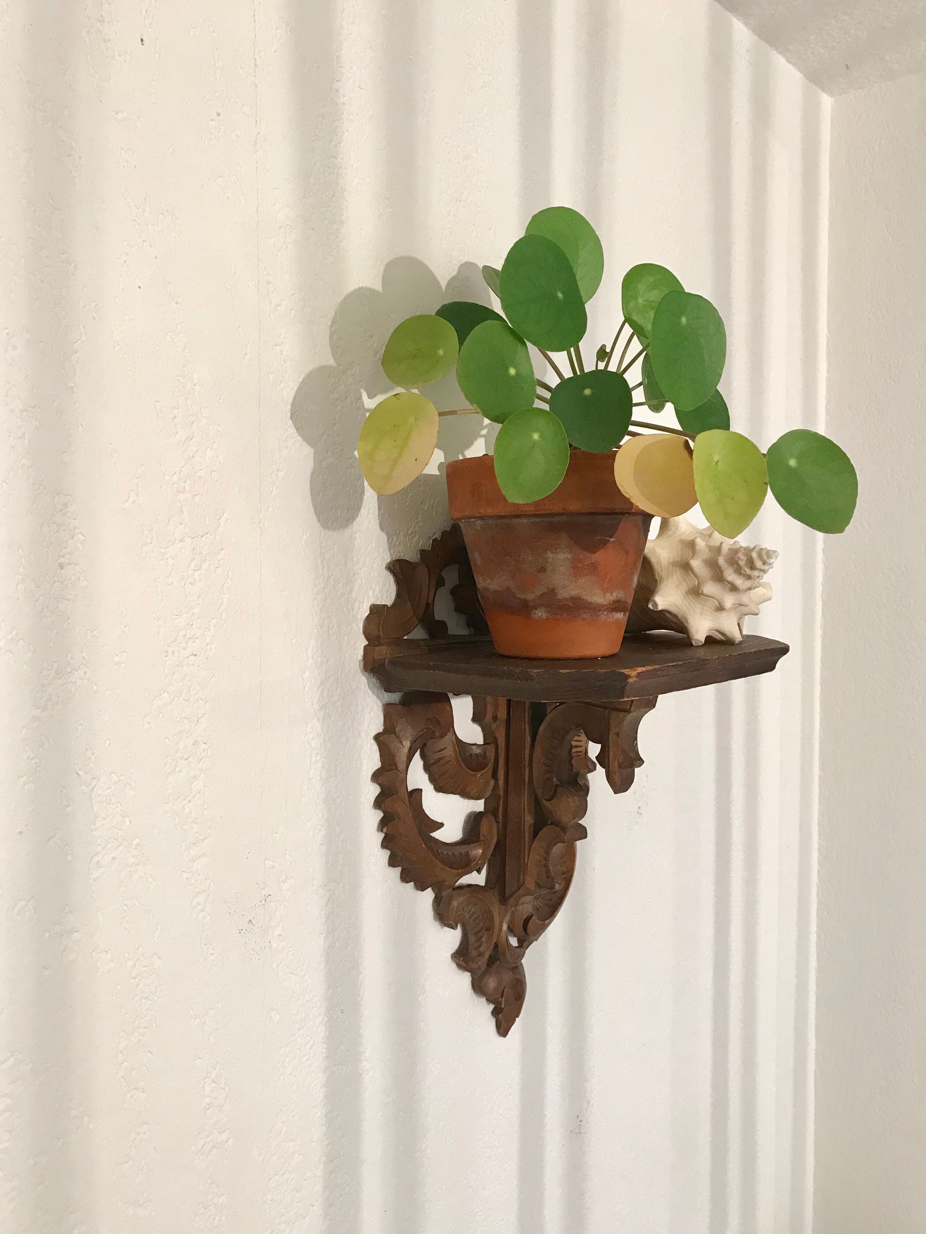 Farm wooden wall shelf