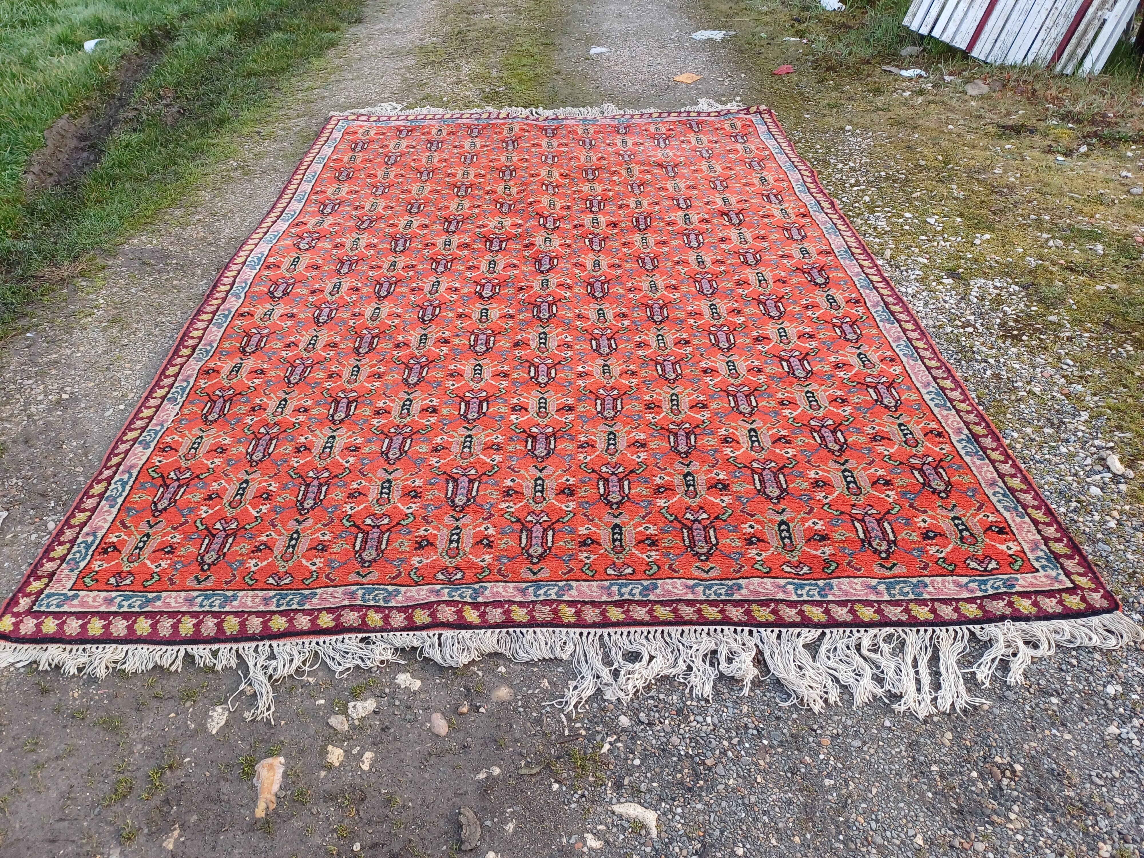 Moroccan hand-knotted wool rug