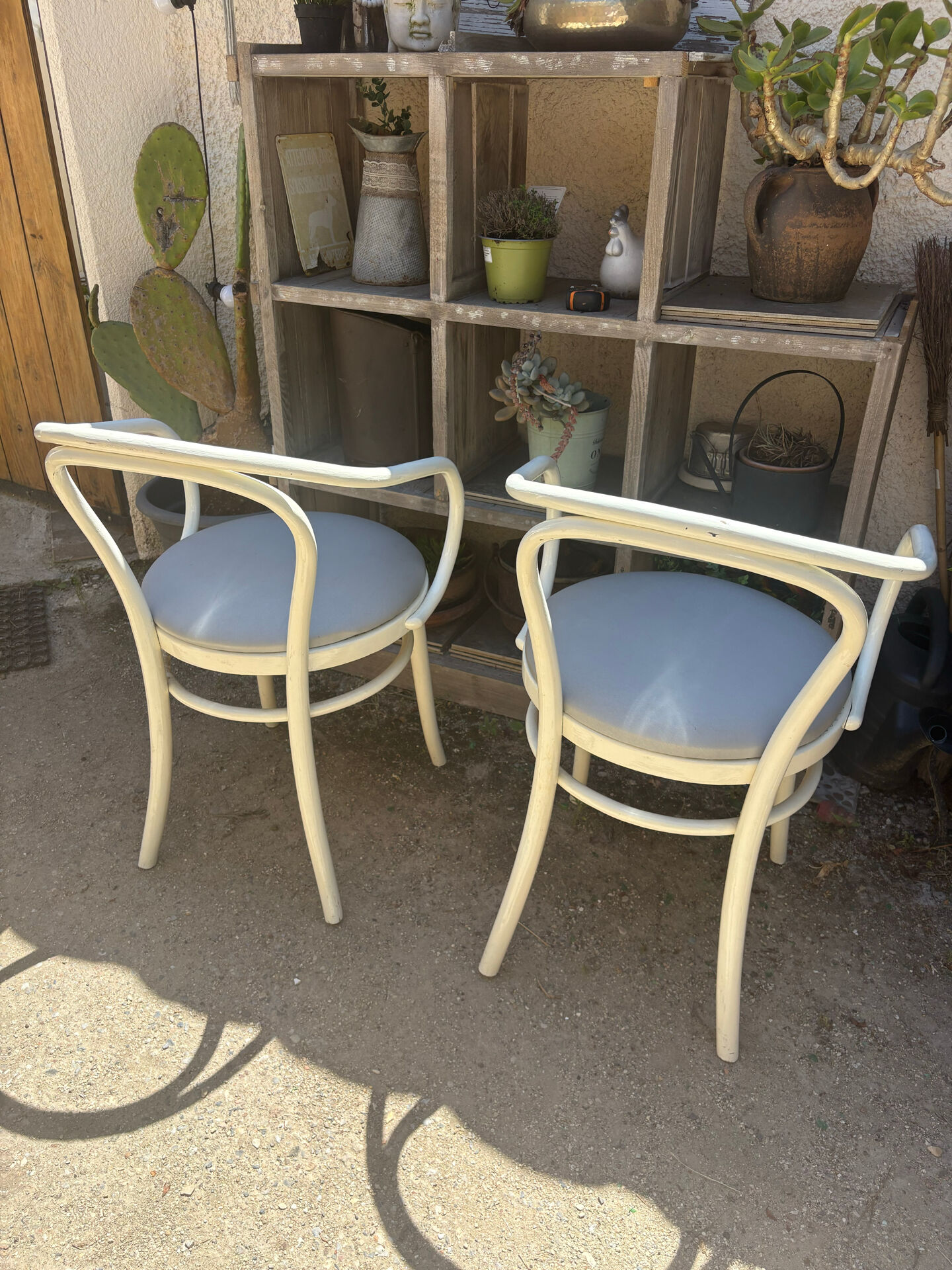 Thonet chairs "the curvaceous one"