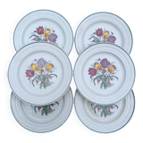 6 Villeroy & Boch plates