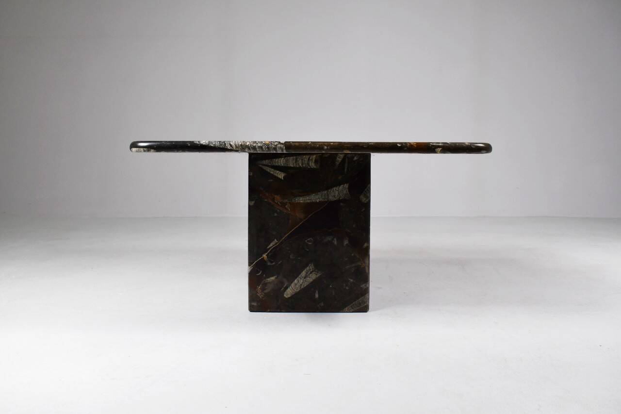 Vintage fossilized stone coffee table