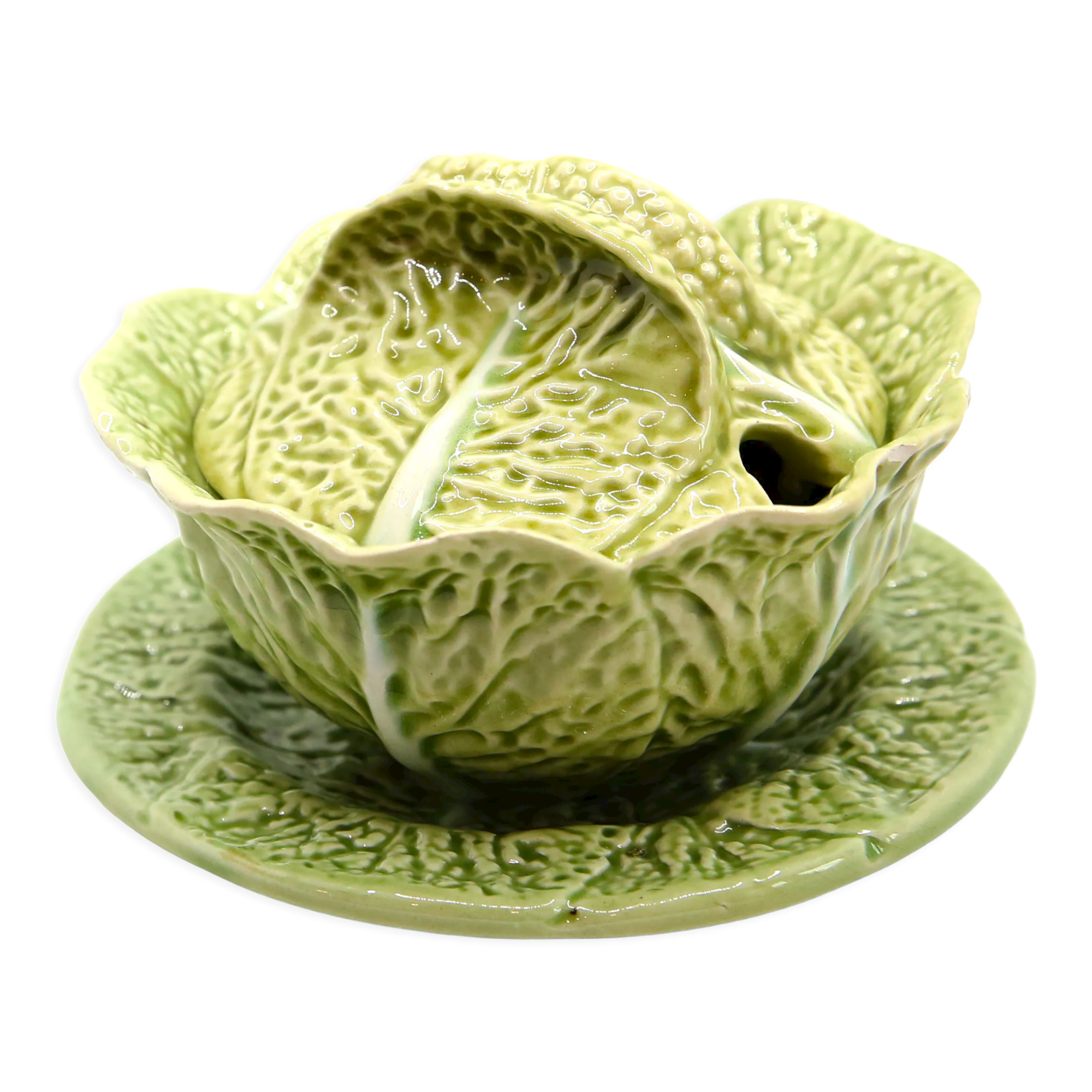 Mustard bush slurry light green cabbage leaf