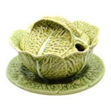 Mustard bush slurry light green cabbage leaf