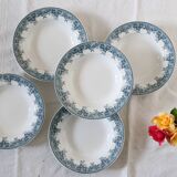 Deep plates x5, iron earth, Estival model from Saint Amand