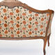 Salon de style Louis XV