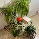 Florist shelf carries metal plants