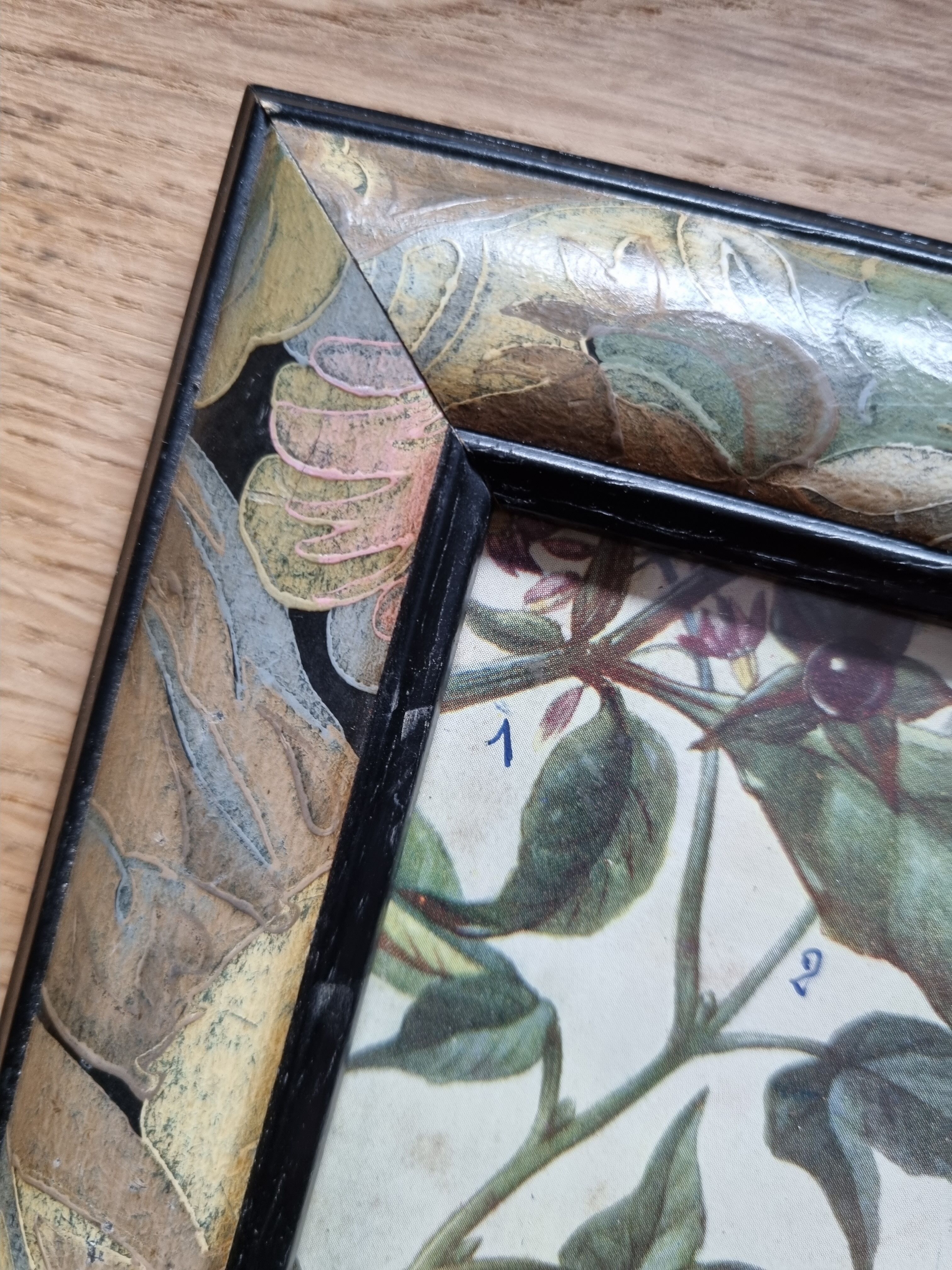 Paire de cadres art deco plantes médicinales