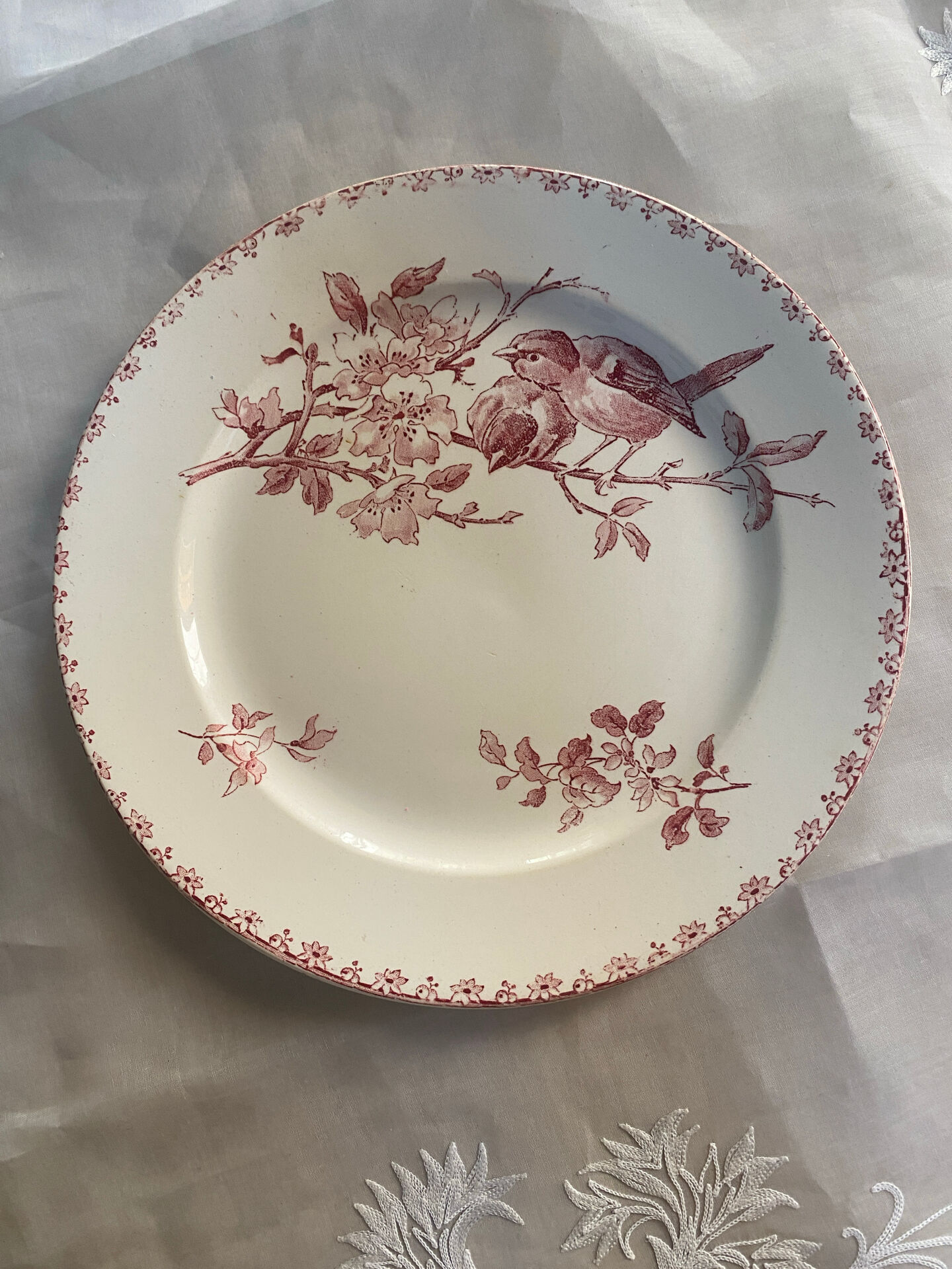 Flat plate model Favourite from Sarreguemines