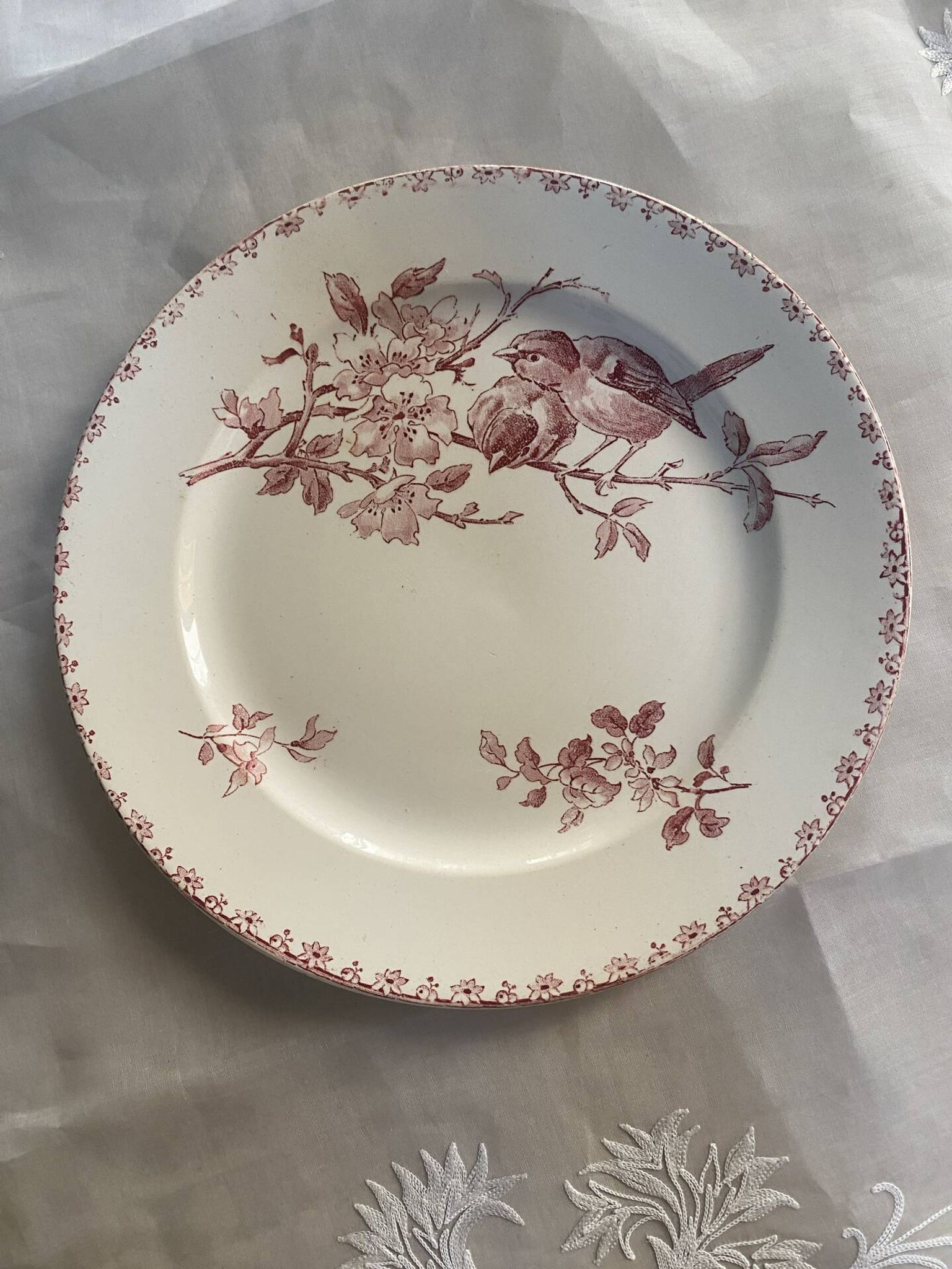 Flat plate model Favourite from Sarreguemines